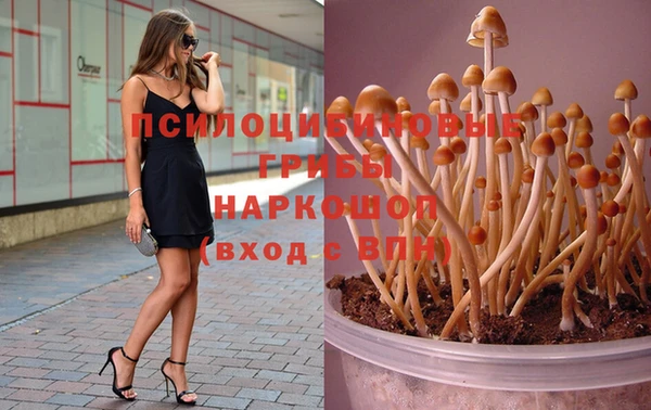 метадон Алексеевка