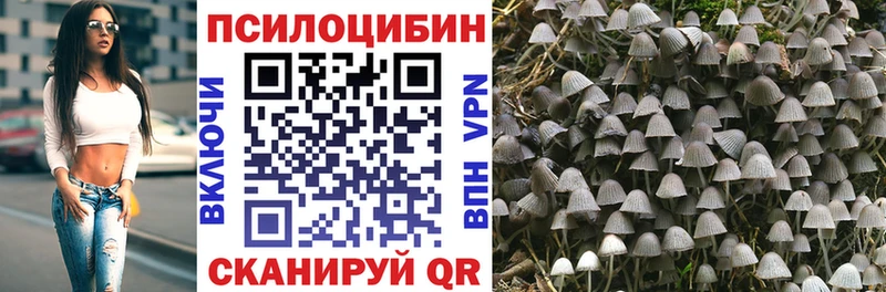 Галлюциногенные грибы мухоморы Тамбов